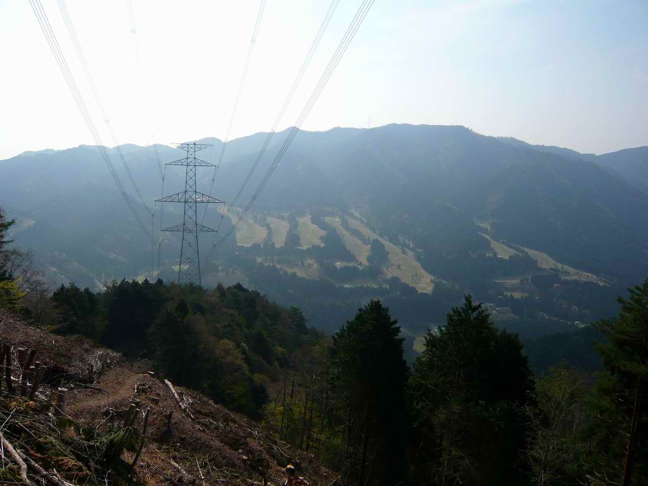 焼杉山－イワウチワ鑑賞山行_e0110500_4245667.jpg