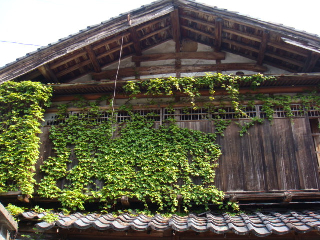 f0138304_7332372.jpg