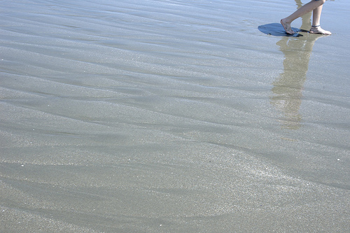 a0104905_0462168.jpg