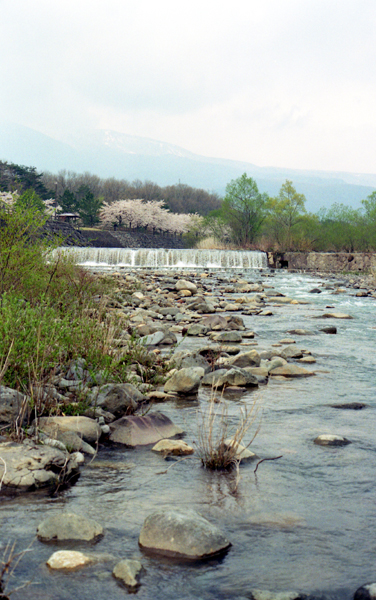 Trout of spring_e0041606_039638.jpg