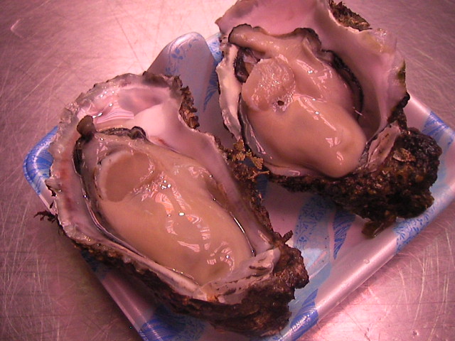 f0038407_7241556.jpg