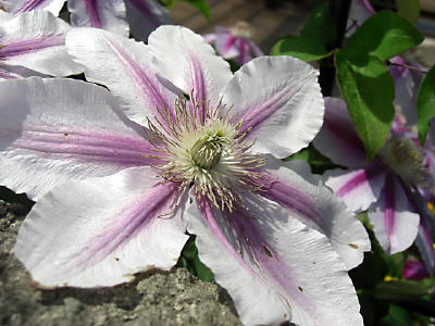f0031546_16374634.jpg