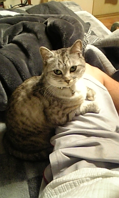 f0037257_395687.jpg