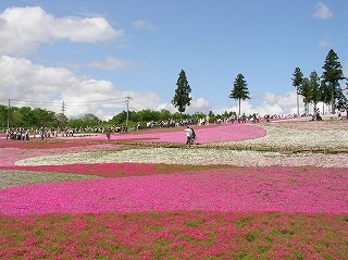 花盛りのＧＷ_f0129761_14194933.jpg