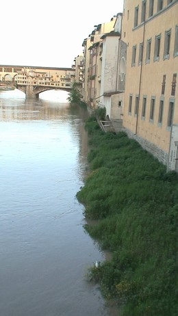 d0083265_0182828.jpg