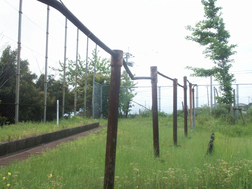 長崎に行ってきました2_b0083267_0332023.jpg
