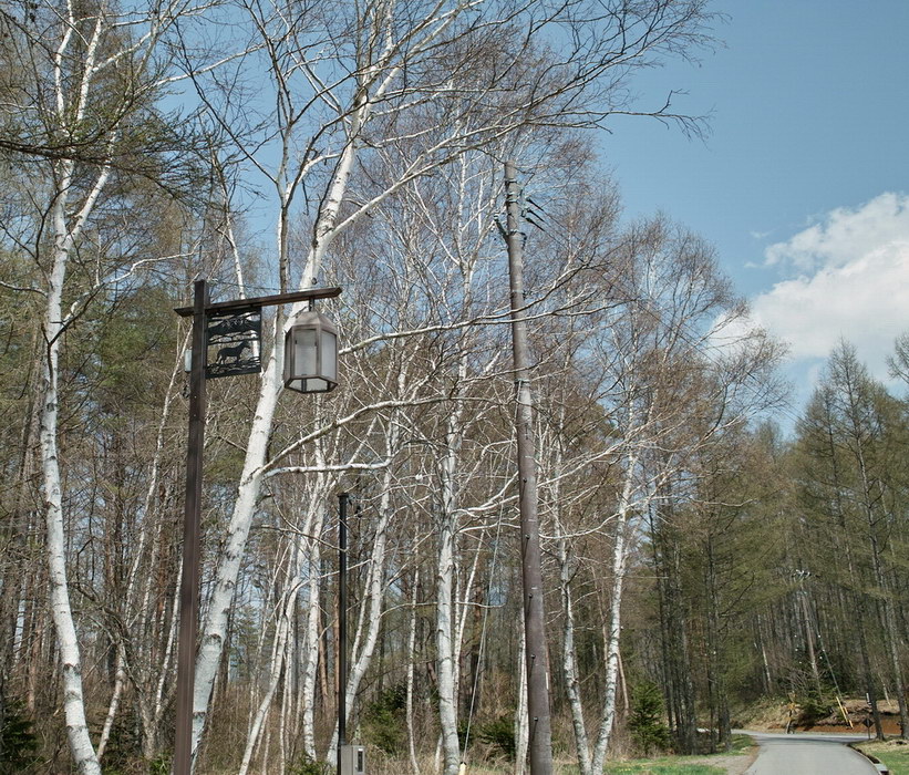 c0084268_8173348.jpg