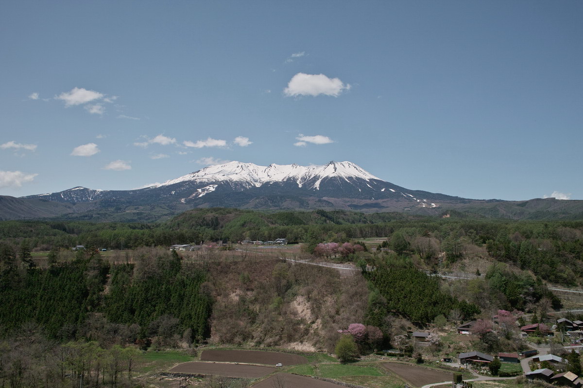 c0084268_8235142.jpg