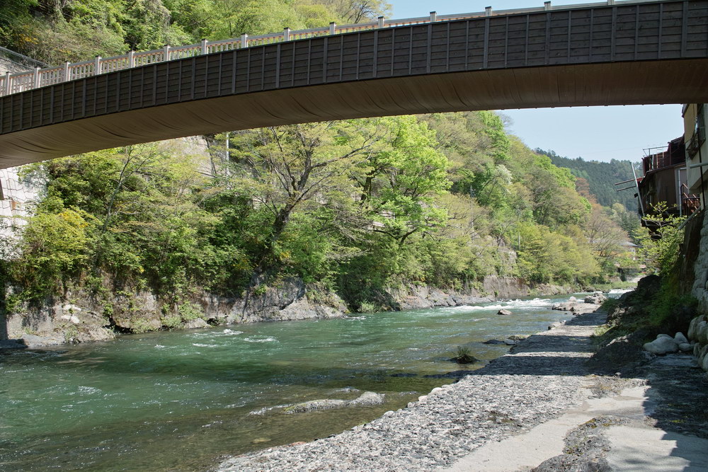 c0084268_8345271.jpg
