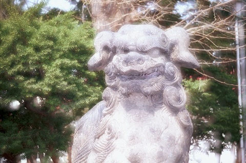 e0023068_0214198.jpg