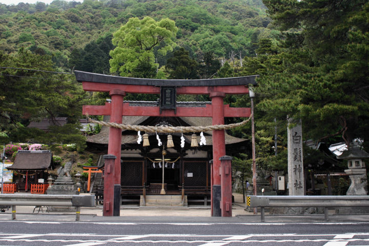 白鬚神社２_d0079373_204499.jpg