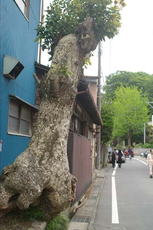 f0024274_12115923.jpg