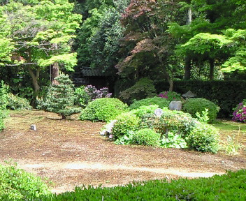 泉湧寺・雲龍院で写経のひと時_e0062977_128464.jpg