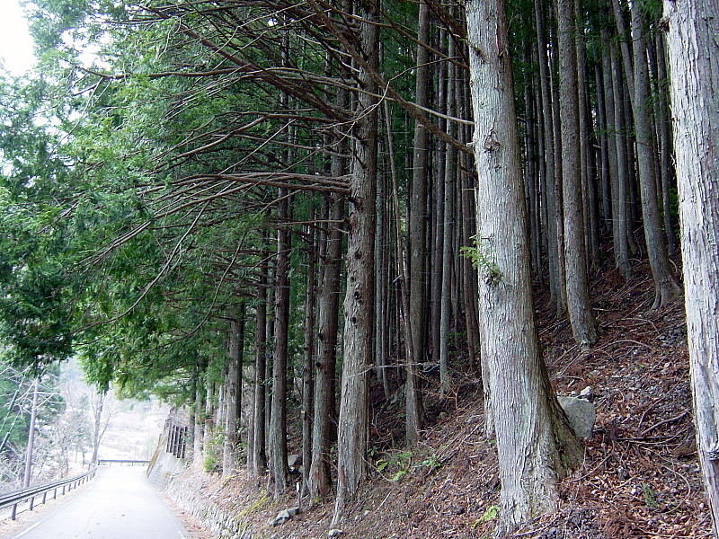 f0008679_16214916.jpg