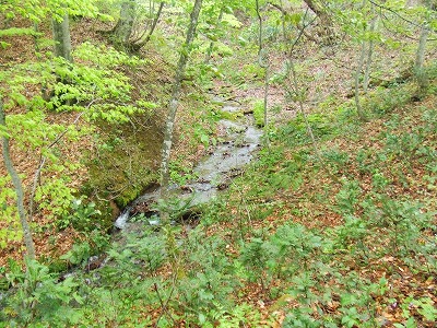 d0060082_15105560.jpg