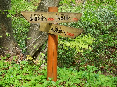 d0060082_1551664.jpg