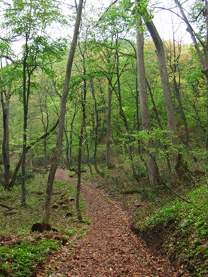 d0060082_1584324.jpg