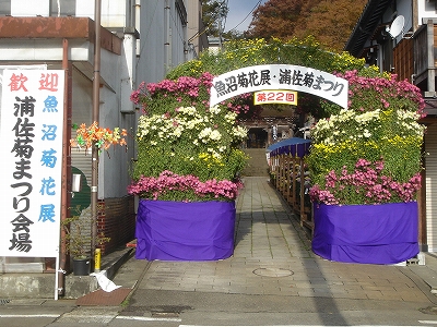 魚沼菊花展 浦佐菊まつり会議_b0092684_1011277.jpg