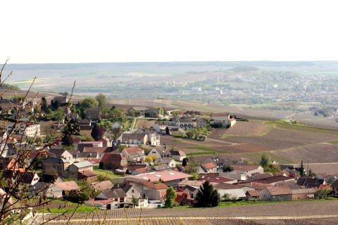 c0090198_422197.jpg