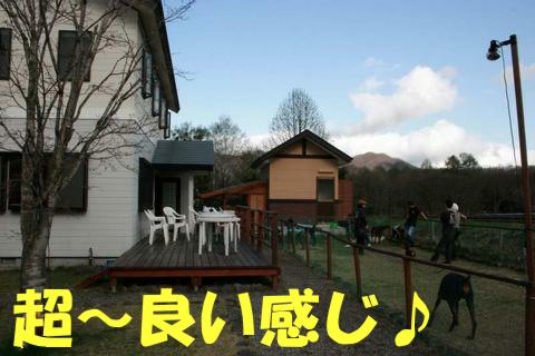 e0100007_1431191.jpg
