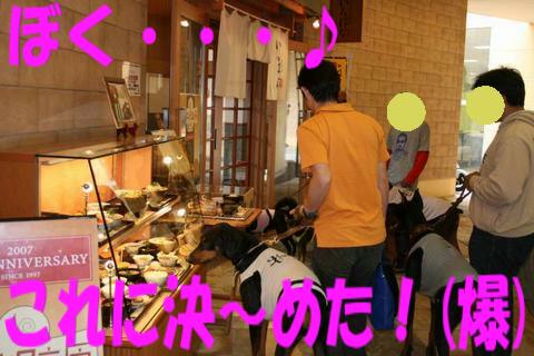 e0100007_1711338.jpg