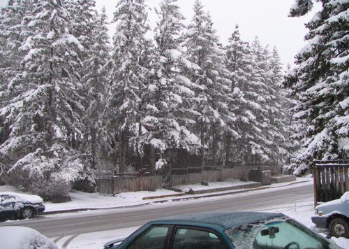 b0051109_032050.jpg