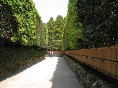 新緑 銀閣寺_e0048413_18384335.jpg