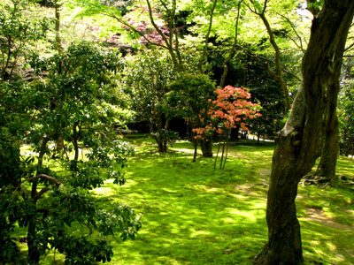 新緑 銀閣寺_e0048413_18401719.jpg
