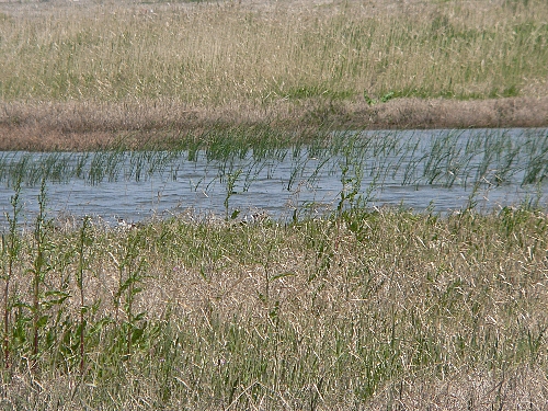 e0002314_11431136.jpg