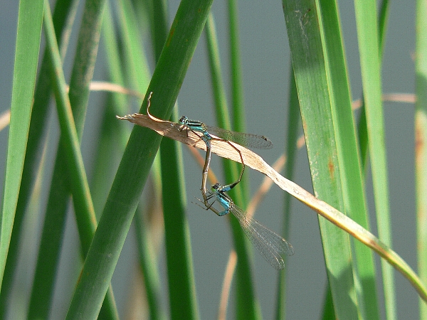 e0002314_11482598.jpg