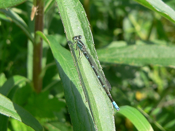 e0002314_11484976.jpg