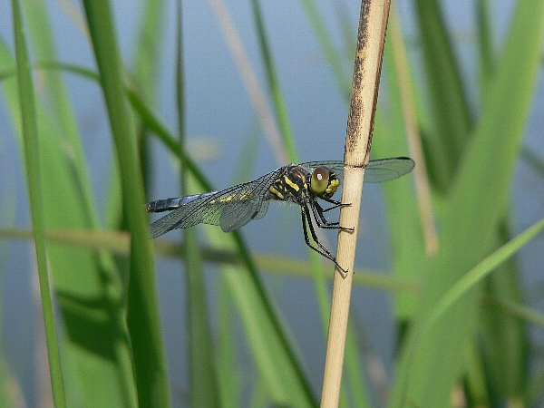 e0002314_11493536.jpg