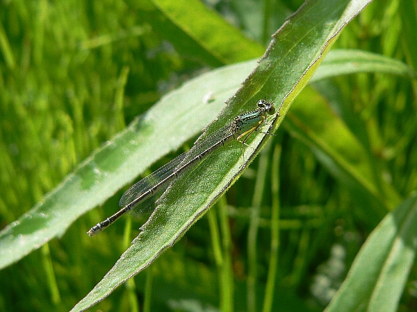 e0002314_1149532.jpg