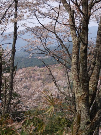 f0013019_16192336.jpg