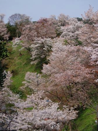 f0013019_16192936.jpg