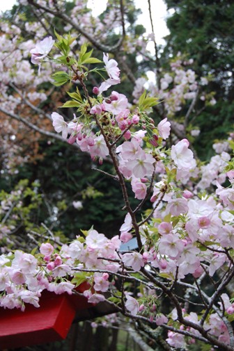 f0013019_16205568.jpg