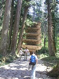 ２００８山形　１日目　羽黒山_b0138522_1930211.jpg