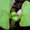 f0108133_23243738.jpg