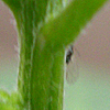 f0108133_23264968.jpg