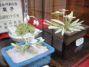 レトロな菓子型!(柴田製菓舗)_b0140235_15582451.jpg