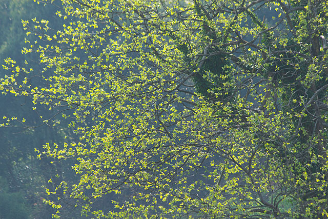 c0067040_2243032.jpg