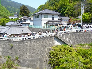 08年GW四国旅行　【グルメ編】さぬきうどんツアー_f0065941_014920.jpg