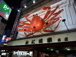 a0077247_23342659.jpg