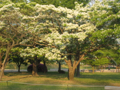 c0145449_21242327.jpg
