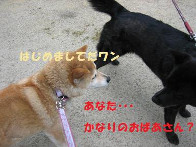 古い友達から新しい友達まで♪_c0049950_20355687.jpg