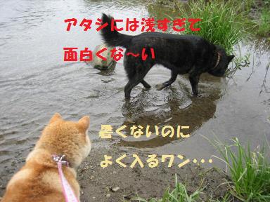 古い友達から新しい友達まで♪_c0049950_20524599.jpg