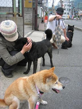 古い友達から新しい友達まで♪_c0049950_2104527.jpg