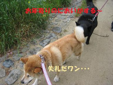 古い友達から新しい友達まで♪_c0049950_21131631.jpg