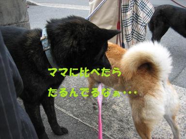 古い友達から新しい友達まで♪_c0049950_21172083.jpg