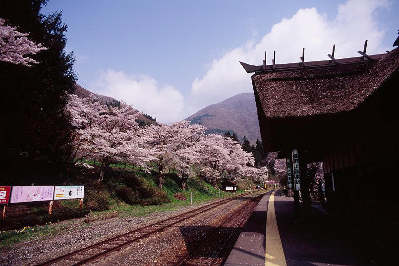 春の茅葺駅舎_f0169053_1615367.jpg